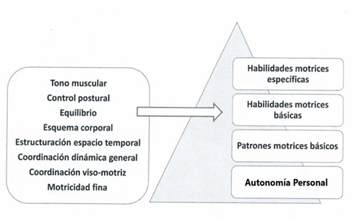 capacidades físicas básicas y habilidades neuromotrices